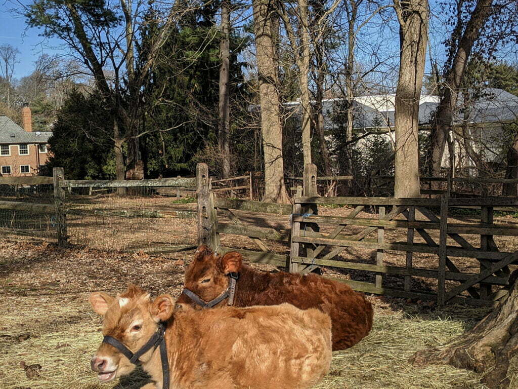 Garage Door Repair Philadelphia, PA